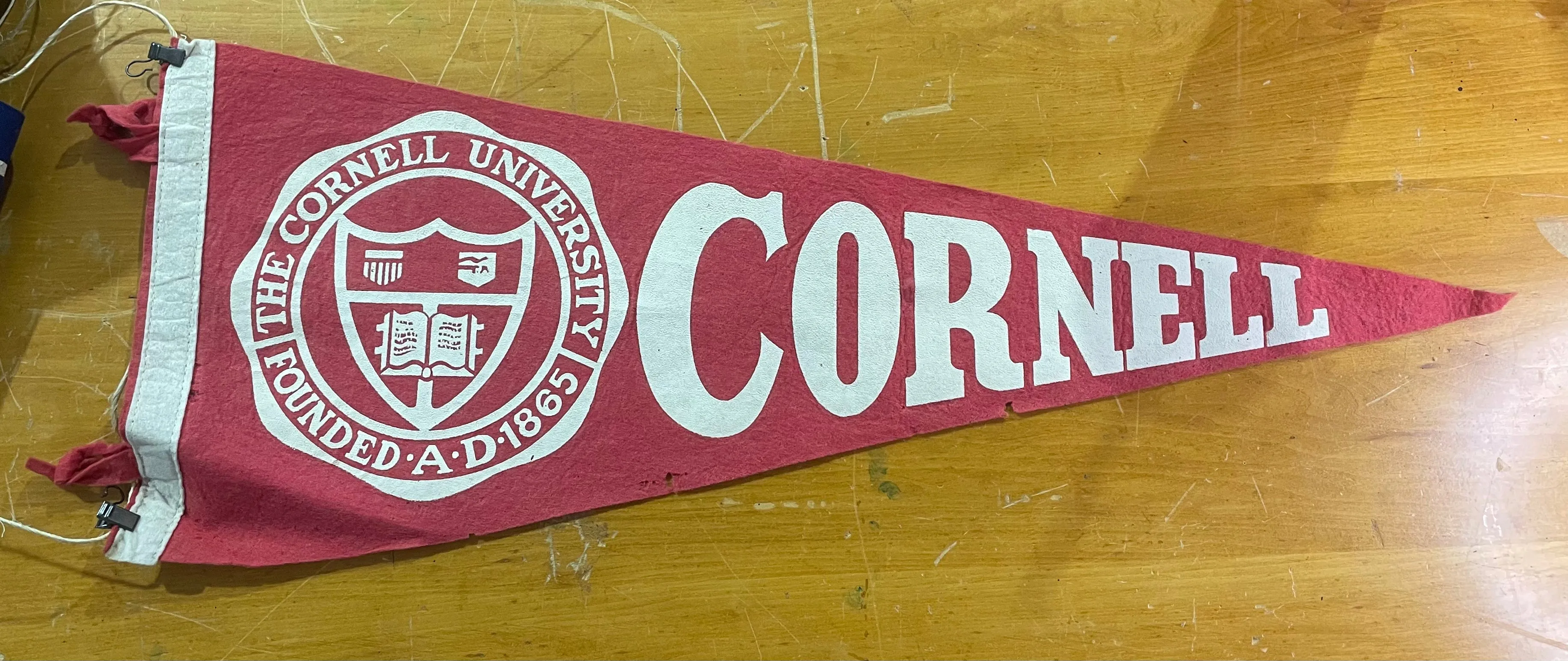 Authentic Vintage Collegiate Pennant