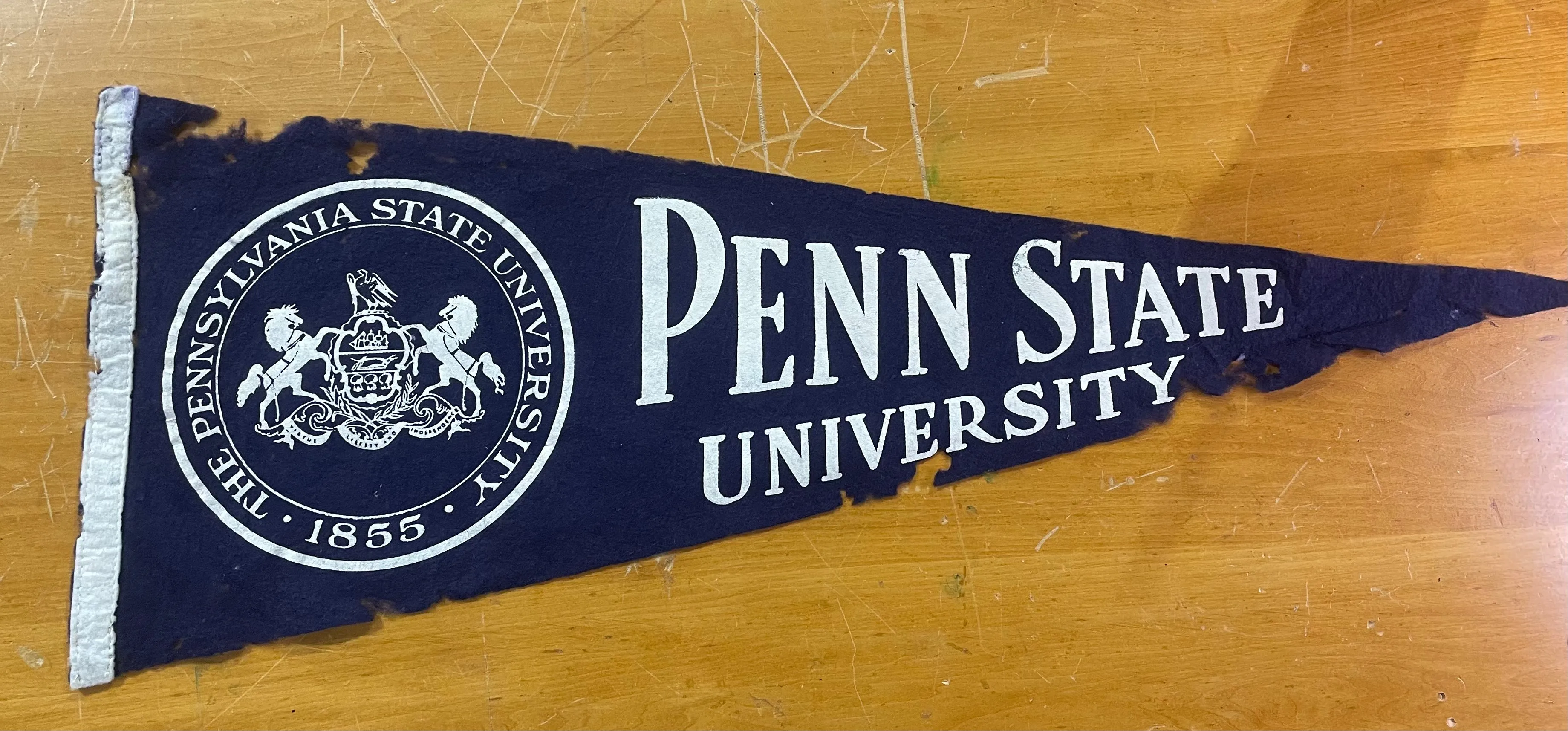 Authentic Vintage Collegiate Pennant