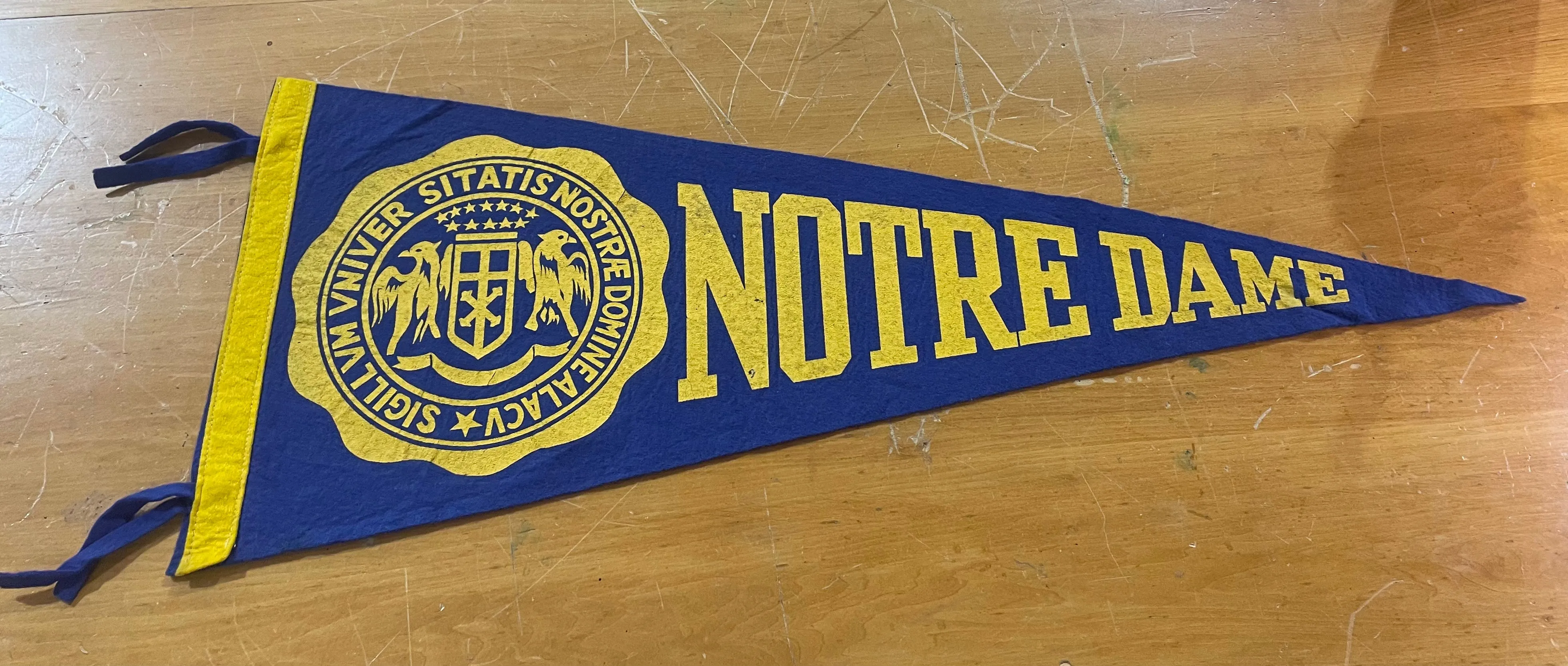 Authentic Vintage Collegiate Pennant