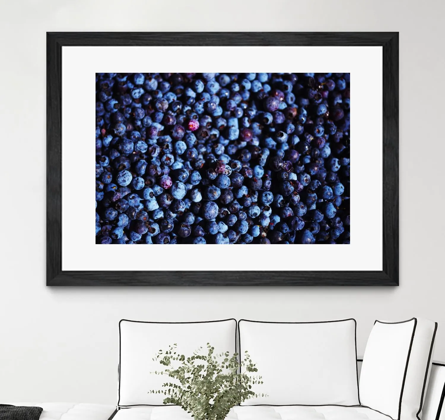 Blueberries II