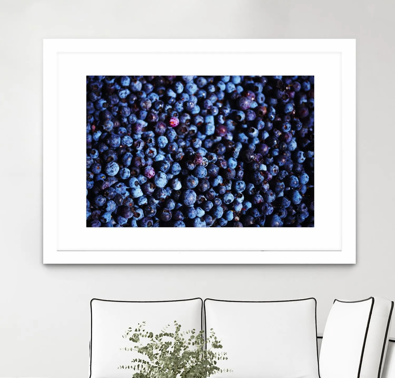 Blueberries II