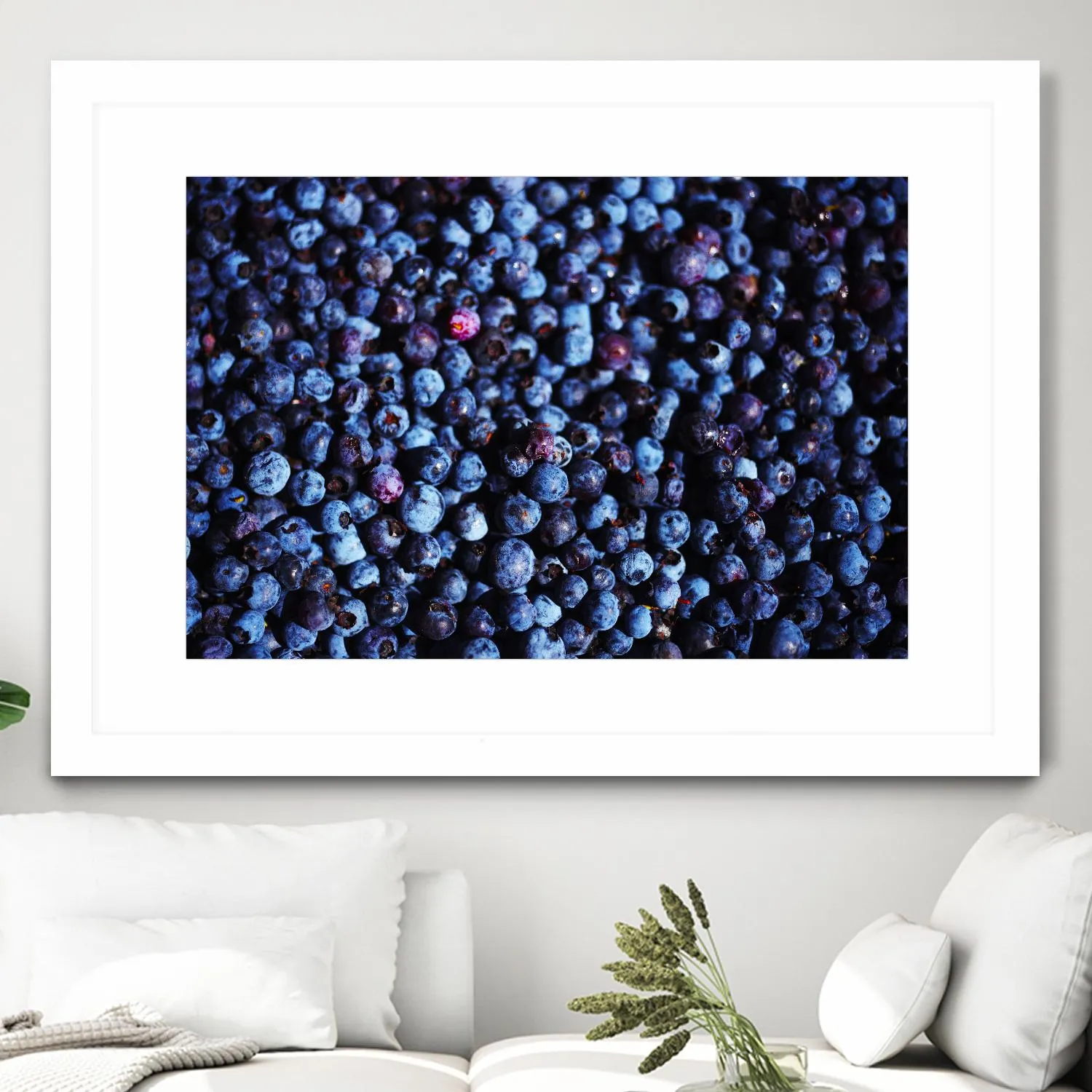 Blueberries II