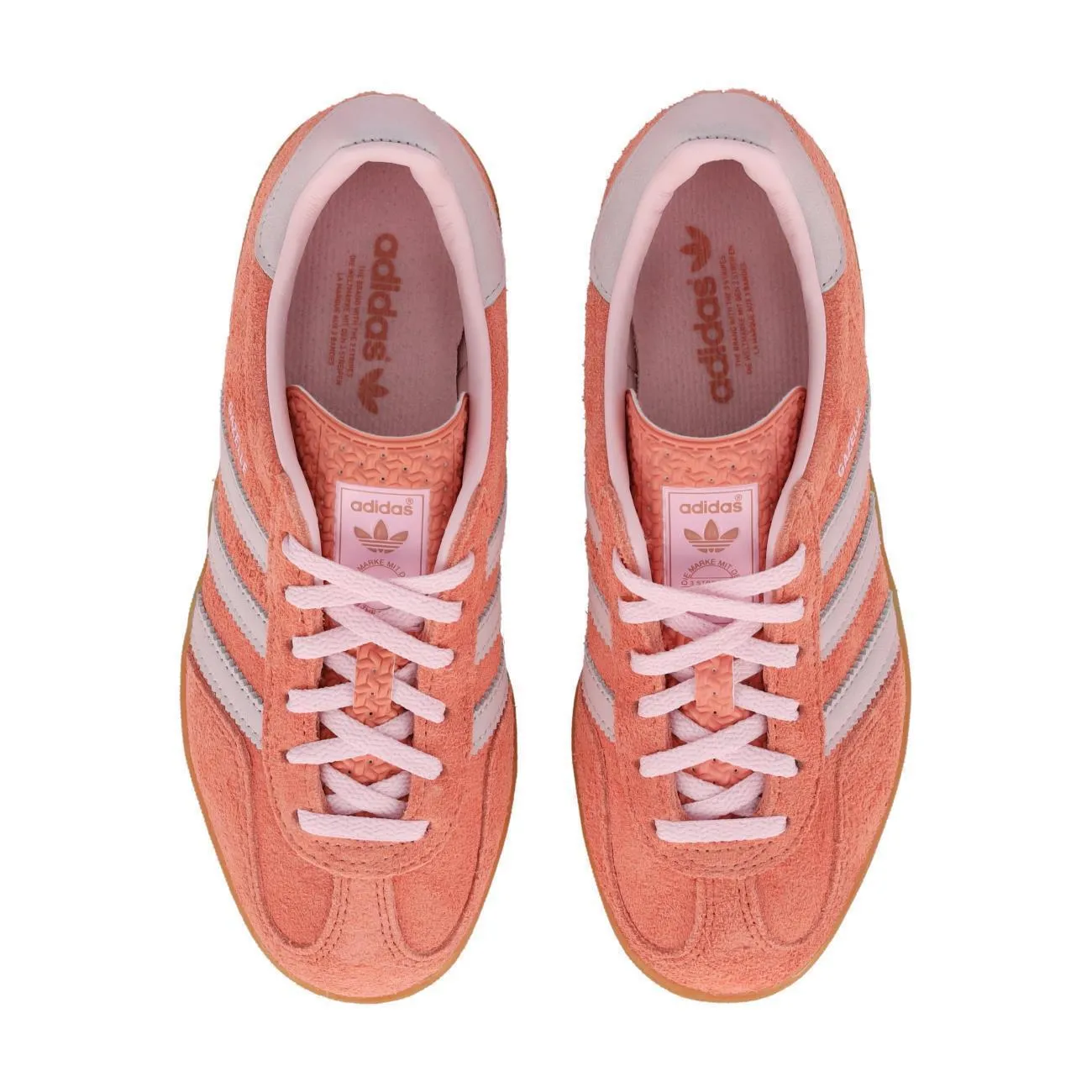 Gazelle Indoor W