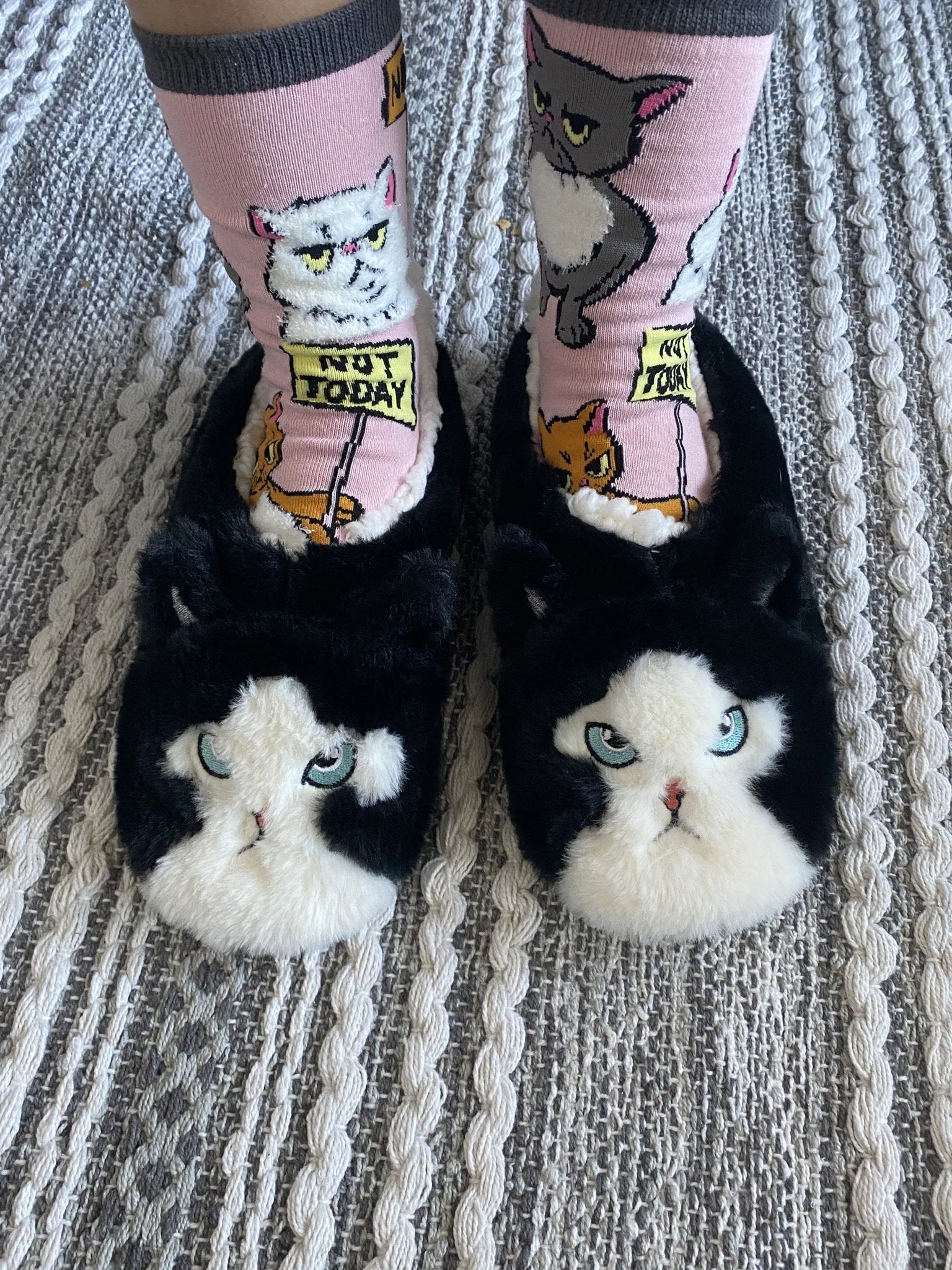 Good Kitty Slippers